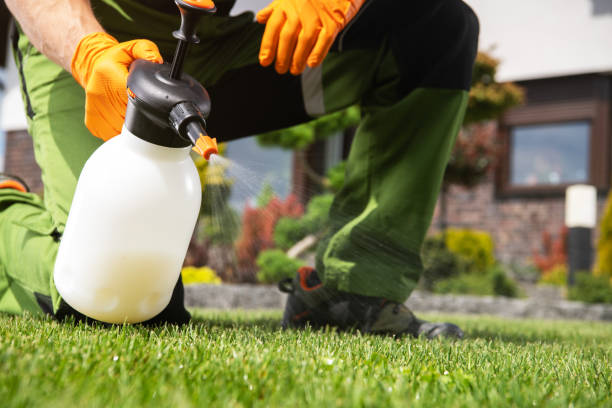 Best Insect Control  in Butler, WI