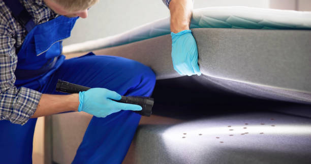 Best Flea Control Services  in Butler, WI
