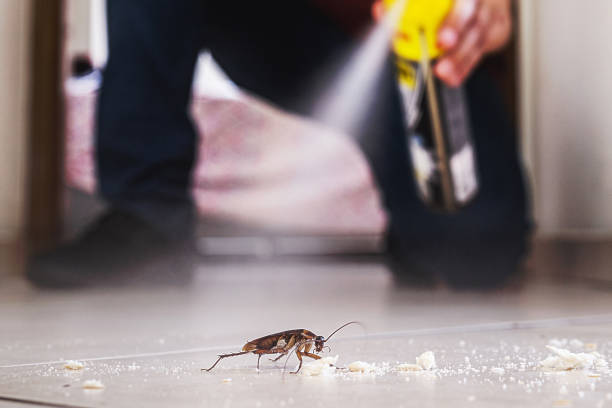 Best Flea Control Services  in Butler, WI