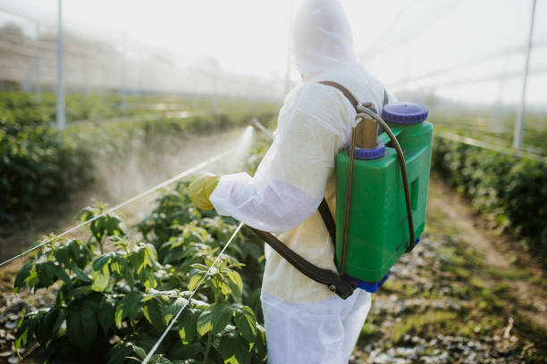 Best Mosquito Control Services  in Butler, WI